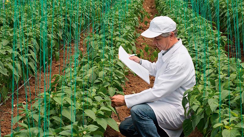 Engineer measuring CO2 in a greenhouse