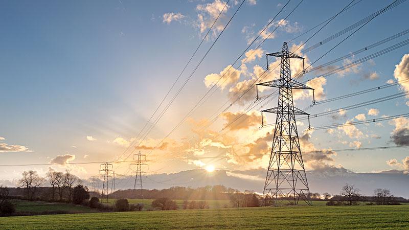 Electricity grid through a field at sunset